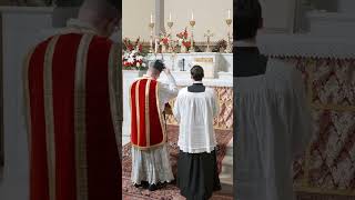 Enroll today in Latin Mass University! Fund the dub!