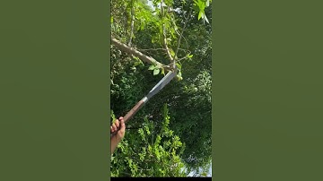 Tôi làm con dao phát rẫy đi rừng bằng thép trục tàu ngầm sắc bén vô địch