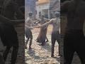 Holi dance