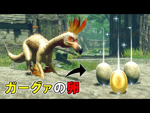 【MHRise】ガーグァの卵が道端に落ちていたら、クルルヤックは食べてしまうのか？（ゆっくり実況）