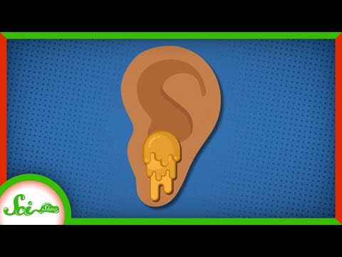 Video: Fun Facts About Human Secretions And Secretions - Alternative View