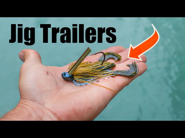 Underwater Insight: Selecting Jig Trailers for Bass Fishing (with
