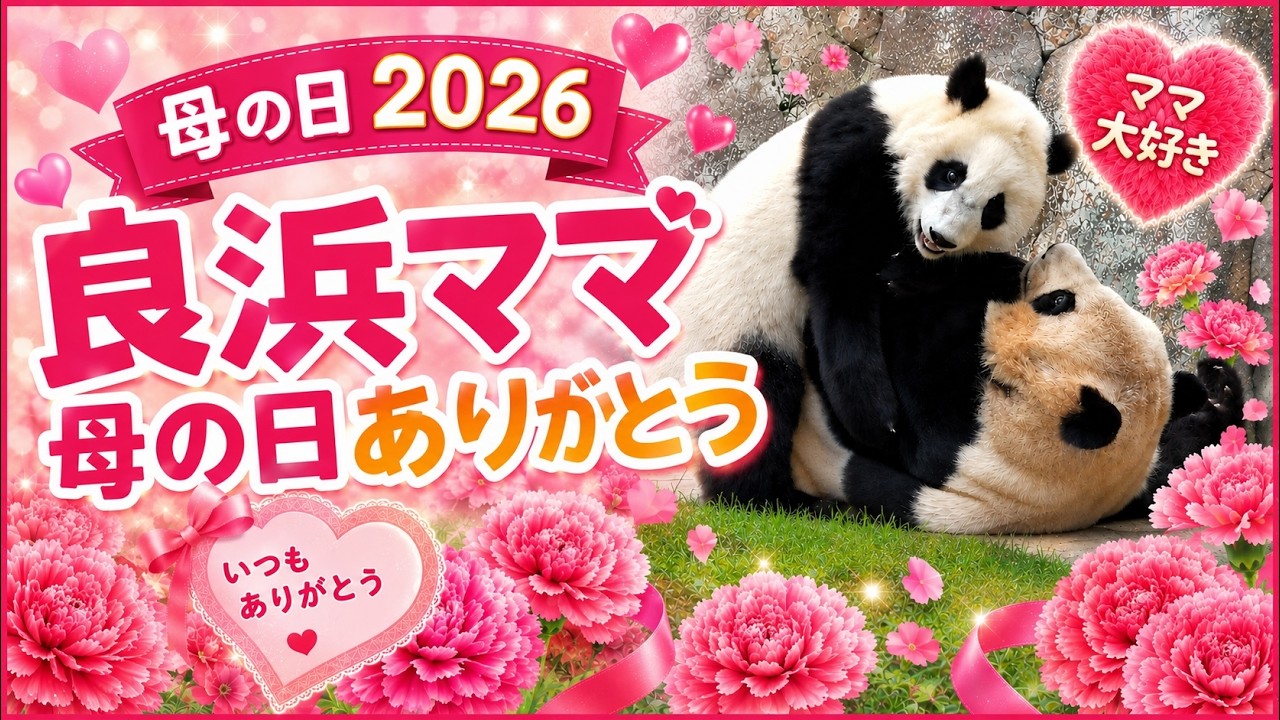 母の日に伝えたい…良浜ママありがとう🐼