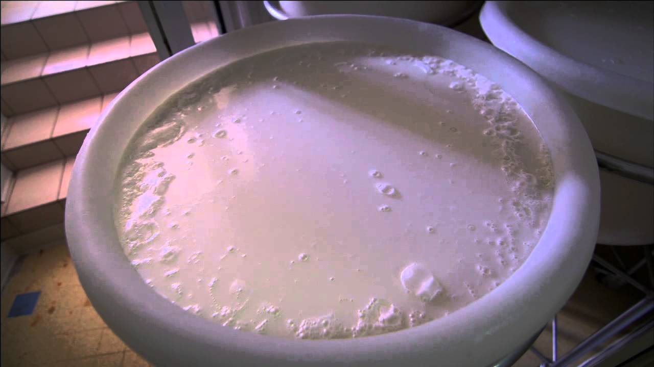 Cheese Slices Season  7 - Lyon France