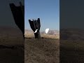 Escalation in the Middle East: Iran and Israel Trade Strikes