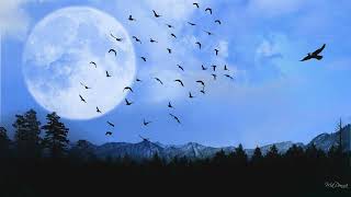 Yasper - Birds Fly Higher Than the Moon