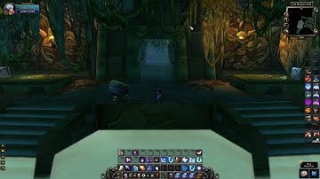 Dungeon Portal Logout Skips | Classic WoW
