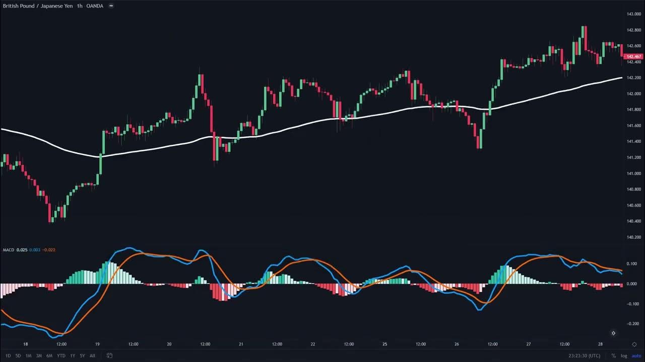 Raishiz Crypto Indicator Reddit Best Tradingview Indicators 2023 📈