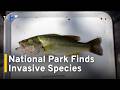 National Park Finds Invasive Species in Pond|TaiwanPlus News