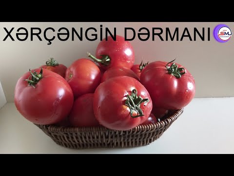 Video: Yeni Pomidor çeşidləri Prostat Xərçəngindən Xilas Olacaqdır