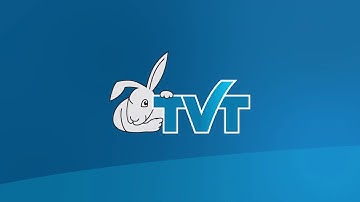 What Is TVT? The Proofreading Software That Catches Every Error Before Print