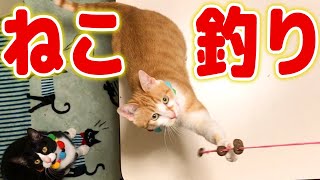 ねこを釣ってみた