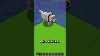 Wolf teleport secret use
