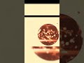 The Formation Of Planets #shorts #mrcosmos #planet #planets #planetformation #space #spacefacts