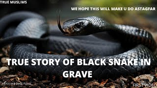 True Story Of Black Snake In Grave