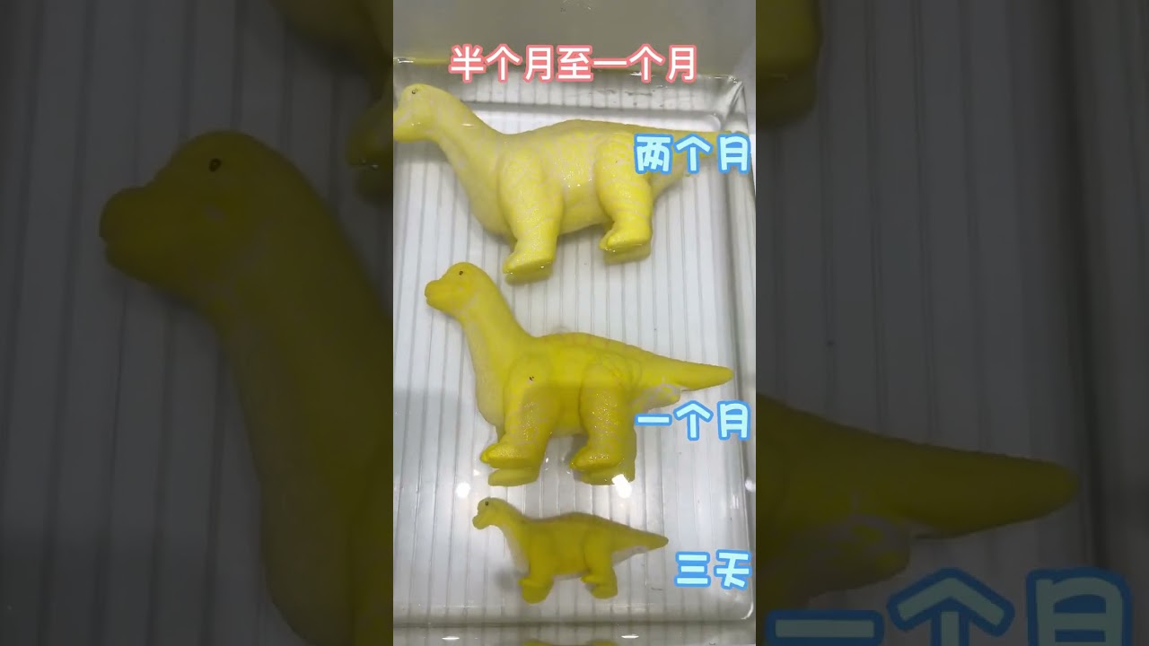 Dinosaur Hatching Eggs Soaking Magic Toys