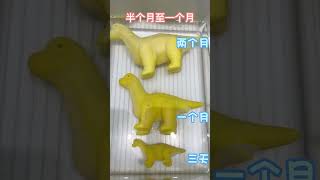 Dinosaur Hatching Eggs Soaking Magic Toys
