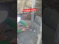 pasulyap sulyap #highlights #funny #musicgenre #dancemusic #welding #musicstyle #super #electrical