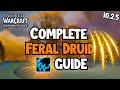 Feral druid guide for 1025 m  raid  wow dragonflight