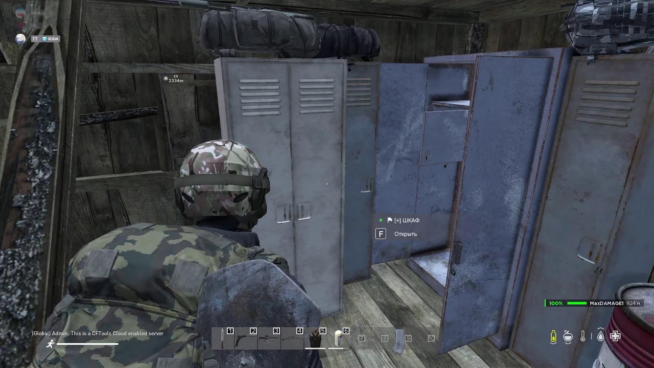 Просираю лут в DayZ 