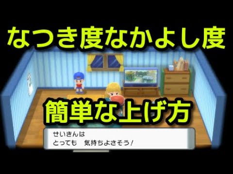 ポケモン ダイパリメイク なつき度 なかよし度の簡単な上げ方 やすらぎのすず マッサージ ポケットモンスター ブリリアントダイヤモンド シャイニングパール Youtube