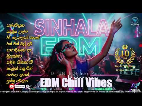 Sinhala Top 10 EDM Mixtape 28 | Avi beats