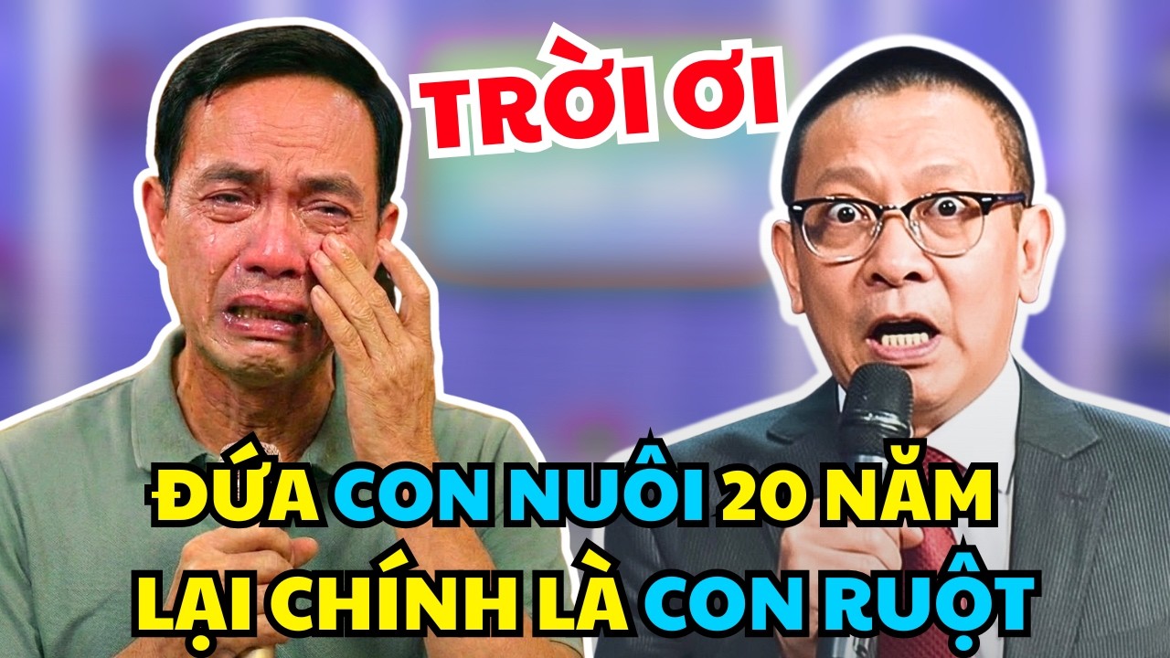 Đứa Con Nuôi 20 Năm, Phát Hiện Hóa Ra Là Con Ruột