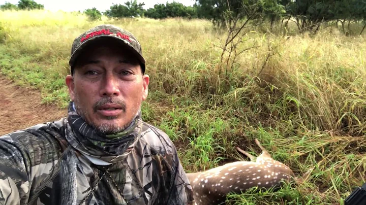 HUNTING WITH THE TEXAN SS BIG BORE AIR RIFLE.