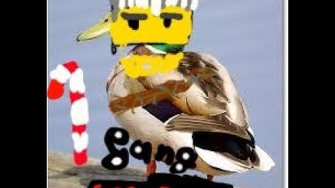 MOUSE ABUSE /MLG RUSH Clips #1