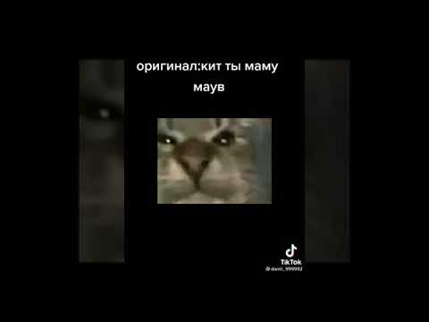 Мем кит ты маму мам