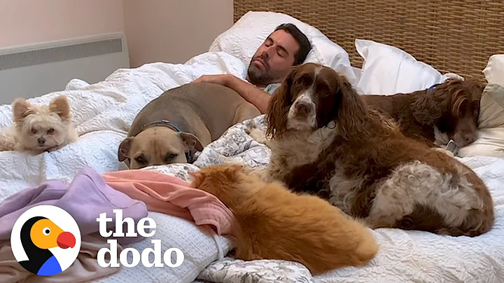 Guy Sleeps In Bed Full Of Rescue Animals  | The Dodo