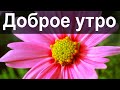 Доброе Утро! Жизнь Подарит ЗОЛОТОЙ БИЛЕТ! Очень Красивая Видео Открытка