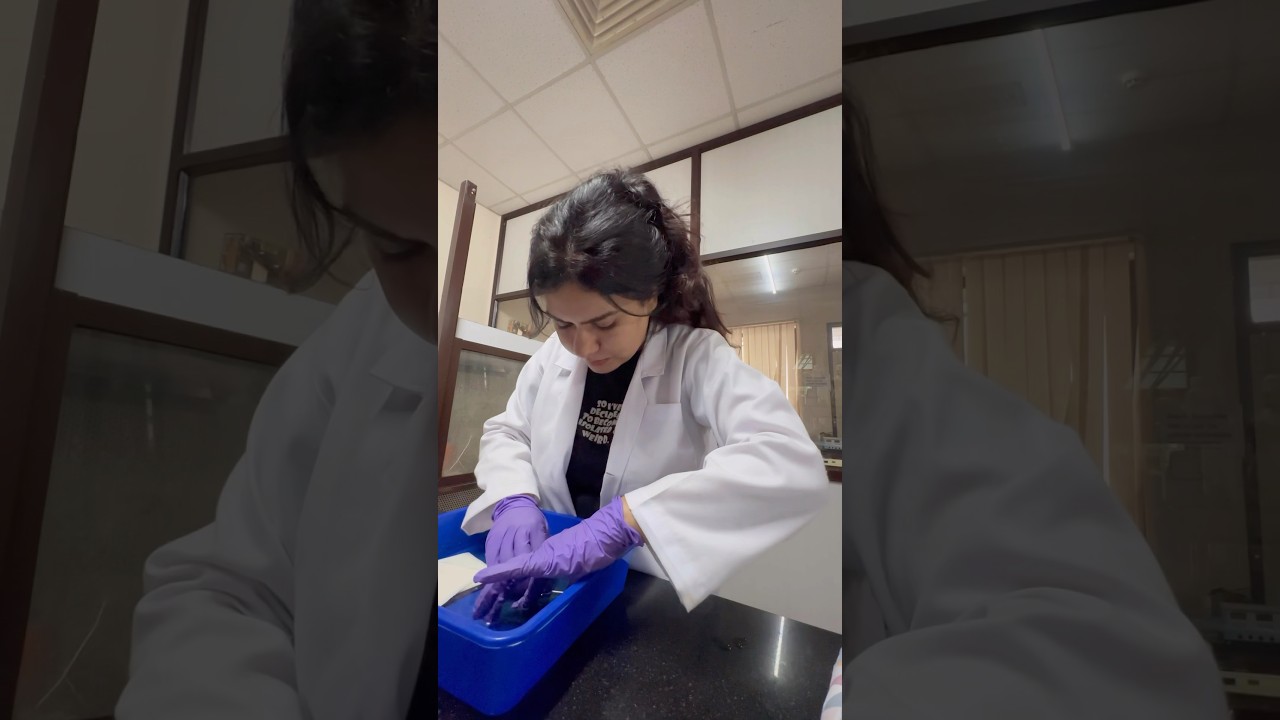 Day in the life of a PhD scholar 👩‍🔬🧫