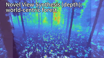 DigiForest: Reconstructing trees in the forest with a hand-held sensor box.