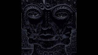 Voltron - TOOL (Secret Song)