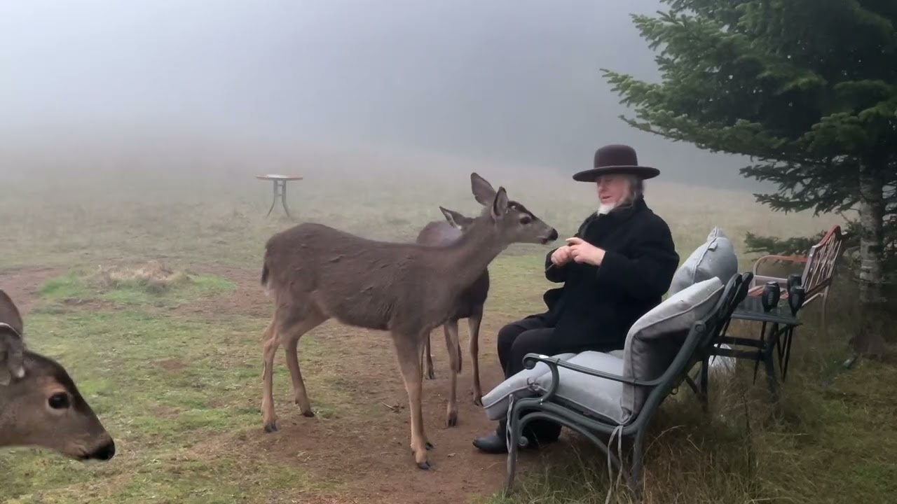 Deer Family 🦌 Apple Time in Heavy Fog 🍏