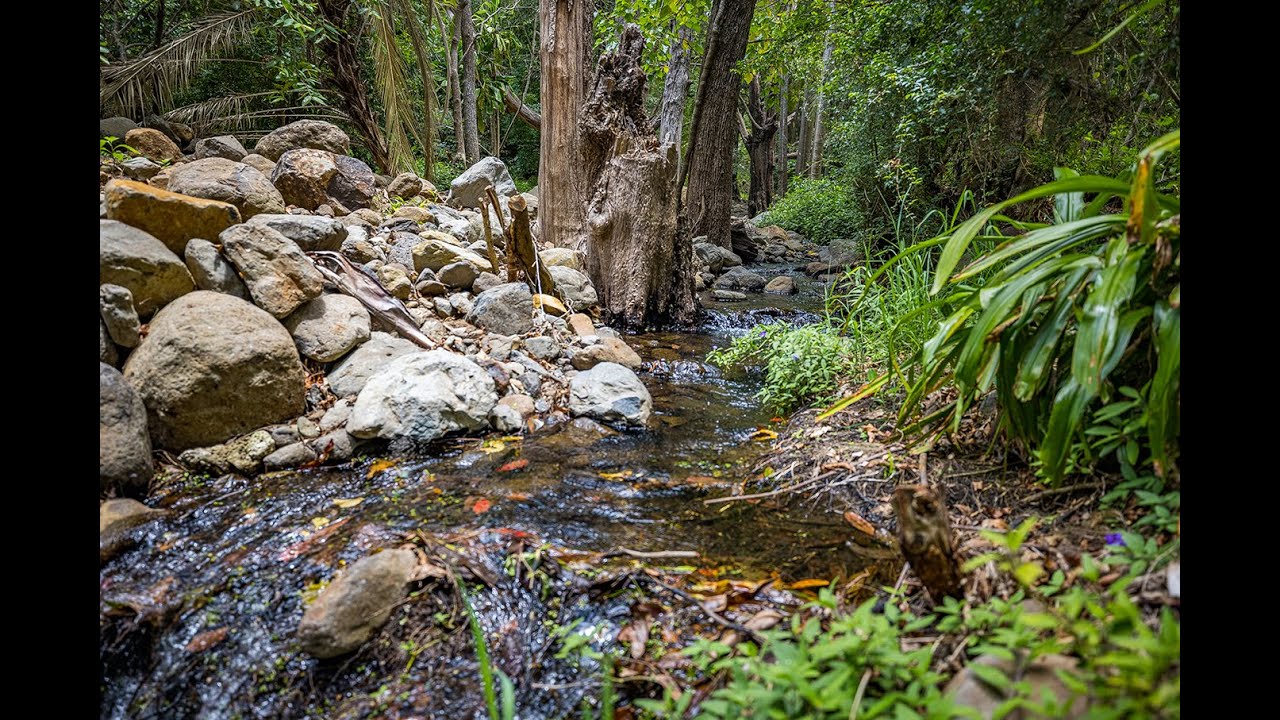 428434 Tamborine Mountain Road, Tamborine QLD 4270 YouTube
