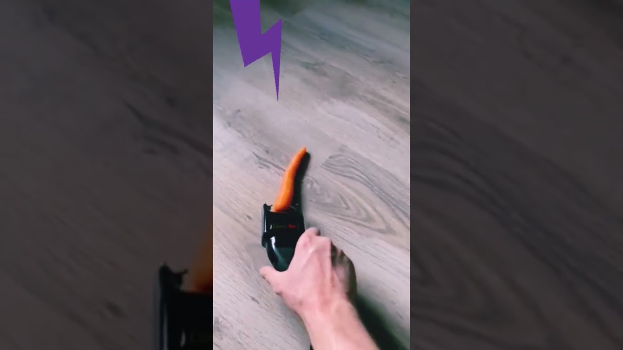 stun gun vs carrot extrem!! 
