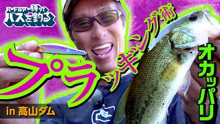生粋のハードベイターが教える「オカッパリで釣果を出すためのプラッギング術」