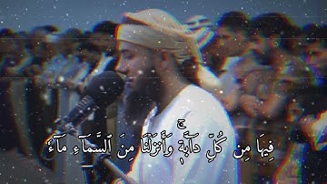 سورة لقمان سامي عبدالرحمن الكردي - اية 11#سامي_عبدالرحمن_الكردي#آل_عمران