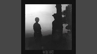 Hinterland