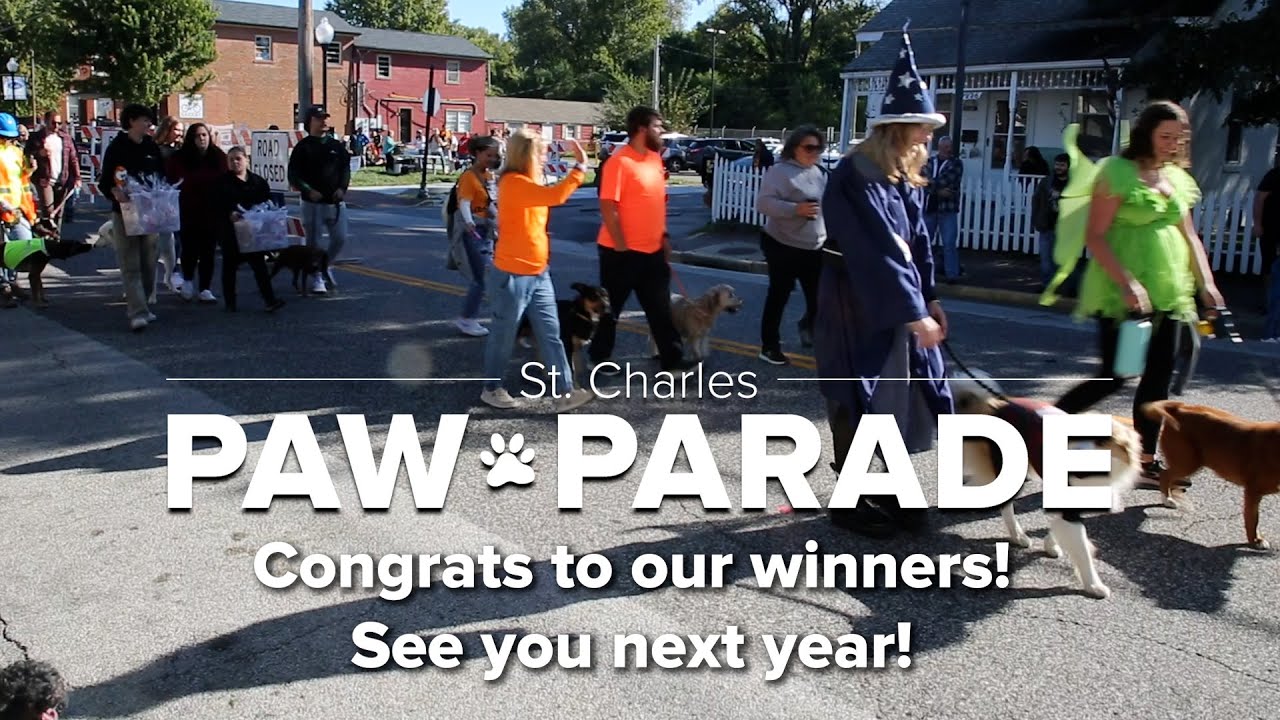 Paw Parade Recap 2023 YouTube