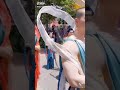 【中国菩薩】こんなんおったら惚れるわ