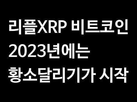 리플 XRP 에이다 비트코인 이더리움 2023년에는 황소달리기가 시작 