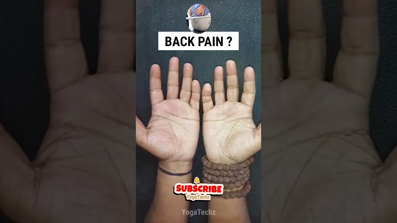 back pain relief exercises at home || 