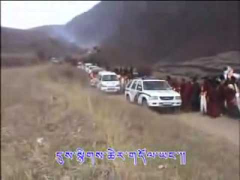 Tibetan Culture flourishing (Kunga) #460