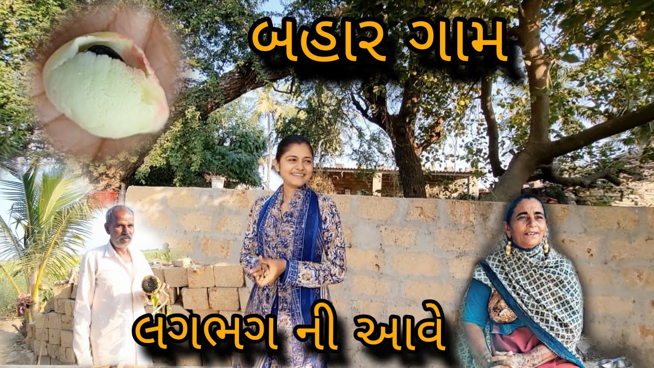 લગભગ ની આવે || બહાર ગામ || @gujrati village life vlogs 