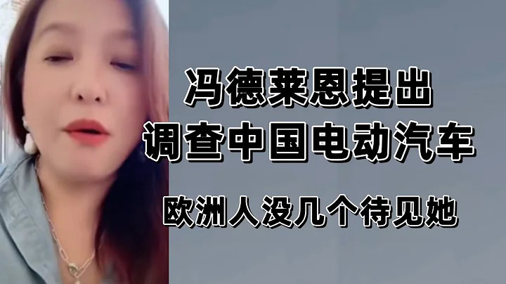 潮媽:馮德萊恩提出，調查中國電動汽車補貼，歐洲人沒幾個待見她 - 天天要聞