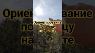 Ориентирование по солнцу на болоте