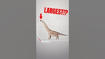 REAL-WORLD DINOSAURS SIZE COMPARISON: Giants of the Past